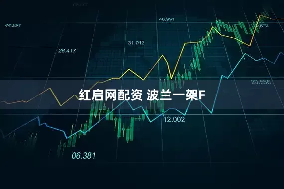 红启网配资 波兰一架F